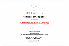 Level-1-IFS-Agnieszka-Koluch-Horbowicz-1